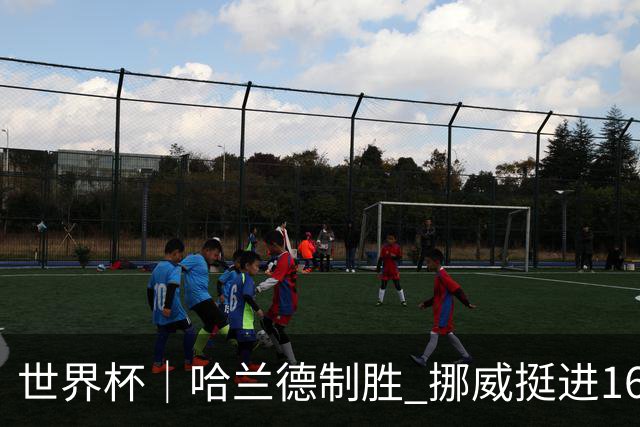 世界杯｜哈兰德制胜 挪威挺进16强将战巴西