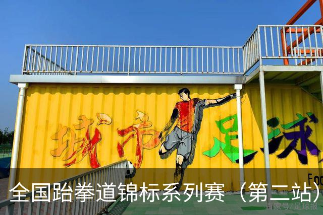 全国跆拳道锦标系列赛（第二站）次日 鲁陕粤桂各揽一金