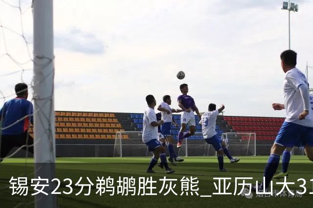 锡安23分鹈鹕胜灰熊 亚历山大31+10雷霆屠公牛